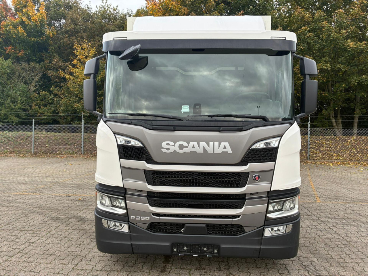 Scania P 250 B4x2NB Boks/lift